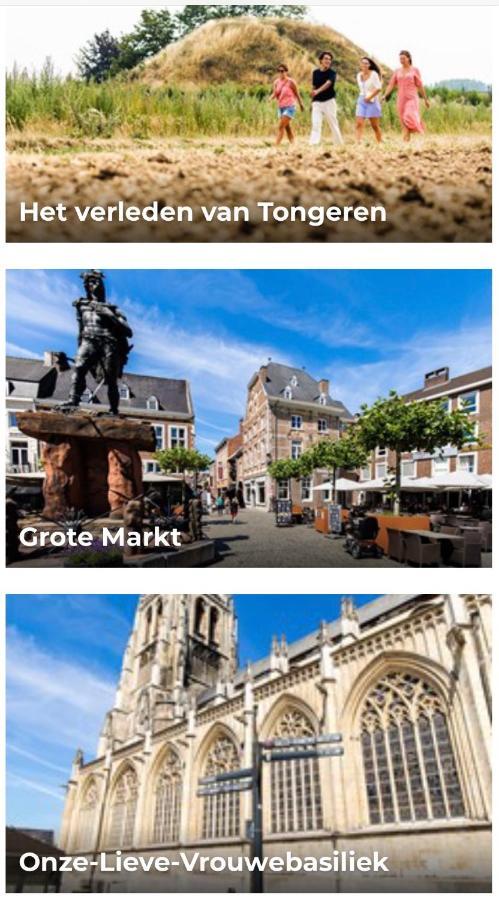 Vakantiehuisje Vds トンヘレン エクステリア 写真