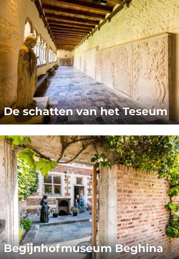 Vakantiehuisje Vds トンヘレン エクステリア 写真