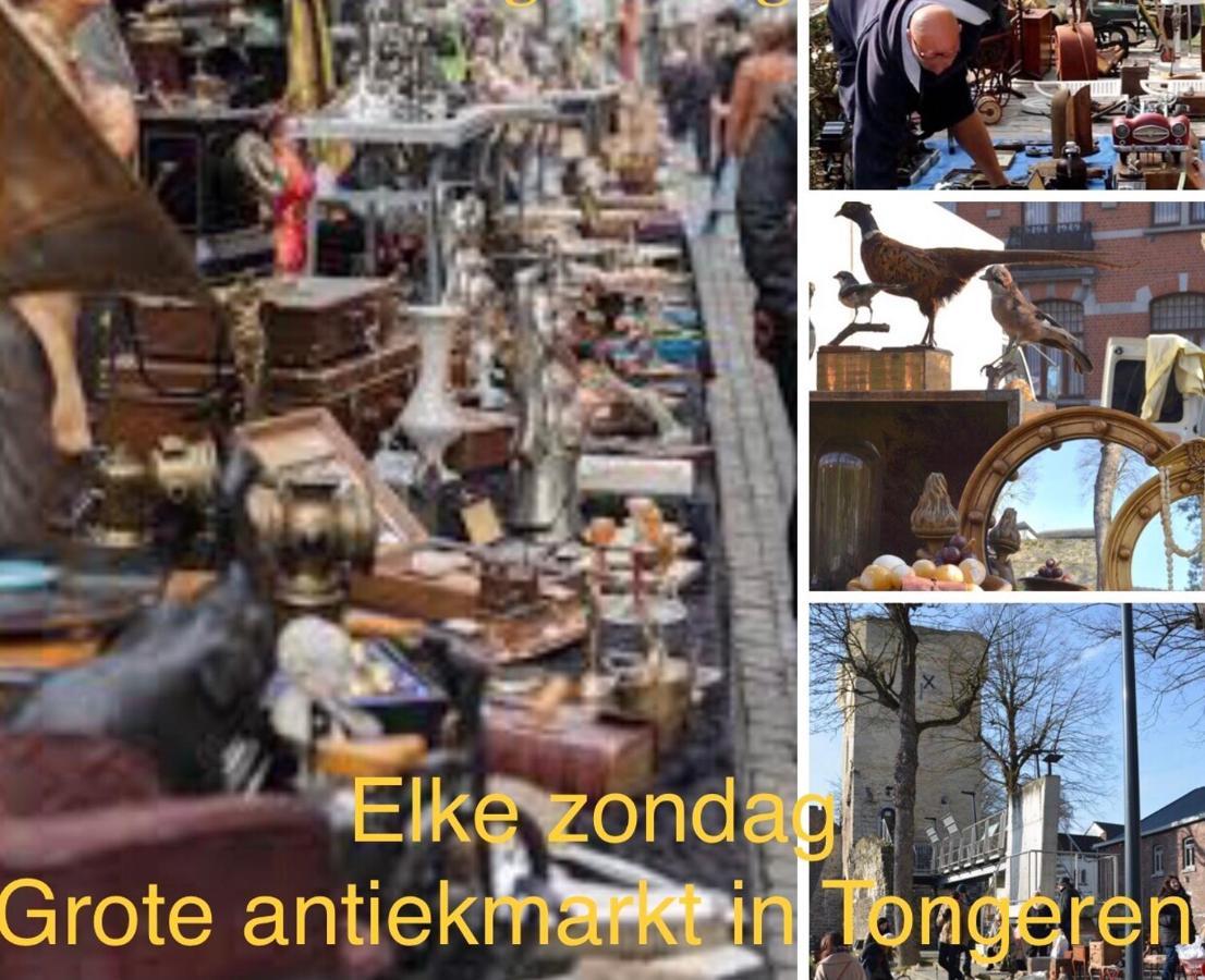 Vakantiehuisje Vds トンヘレン エクステリア 写真