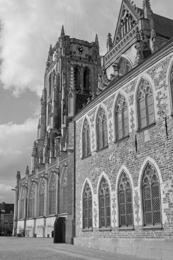 Vakantiehuisje Vds トンヘレン エクステリア 写真